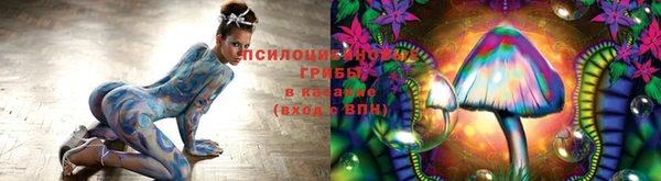 a pvp Беломорск