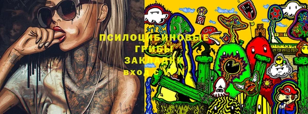 a pvp Беломорск