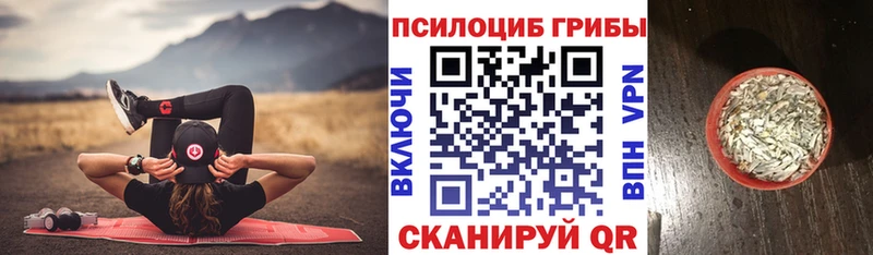 Купить где  Крымск  Галлюциногенные грибы Psilocybe 